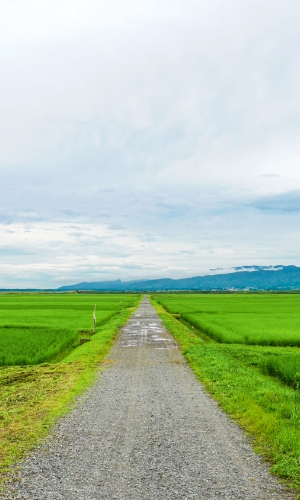 長野県