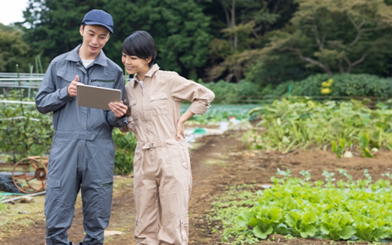 水土里ネットで働く人のイメージ