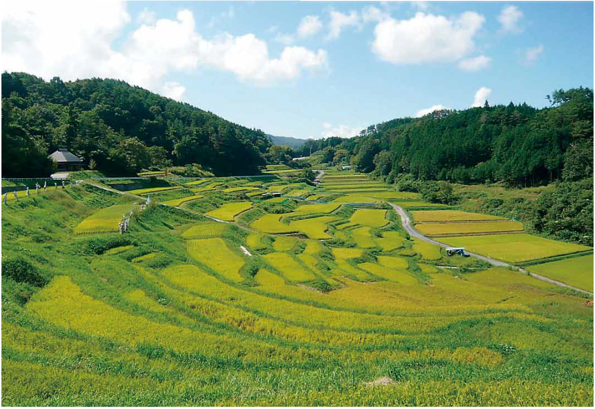 棚田 山水河 75㎝額 水墨風景画 里山風景 故郷 農村 北陸地方 日本の原風景