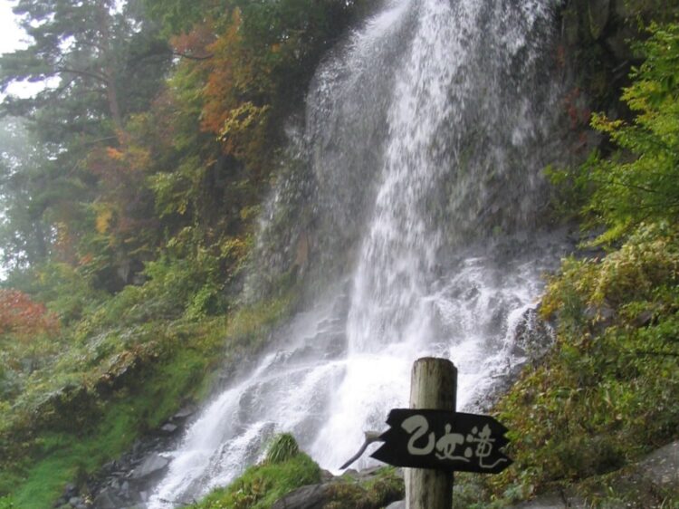 養川の汐