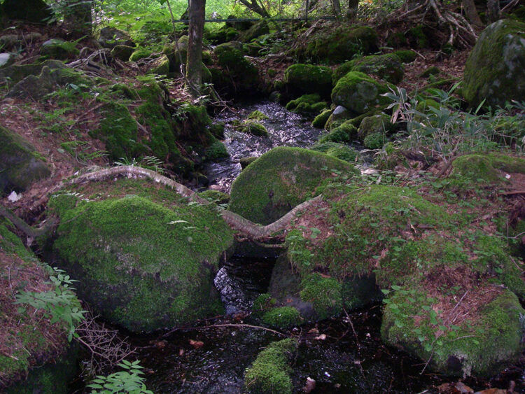 塩沢堰