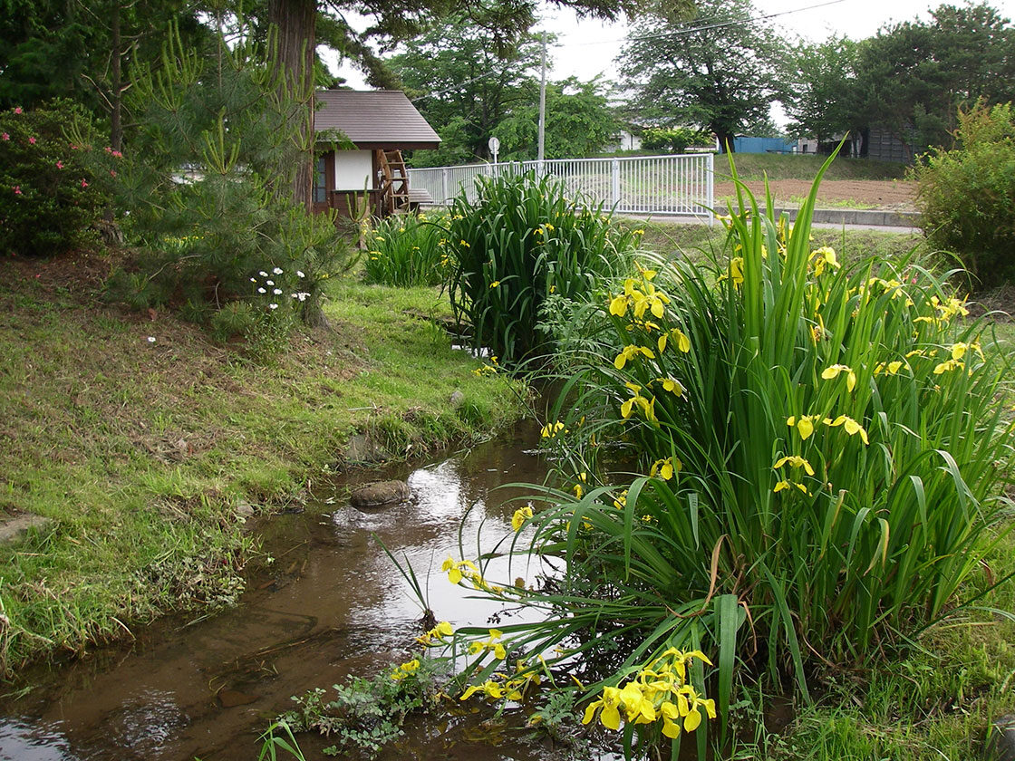 塩沢堰