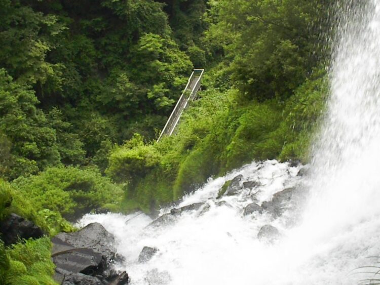 養川の汐