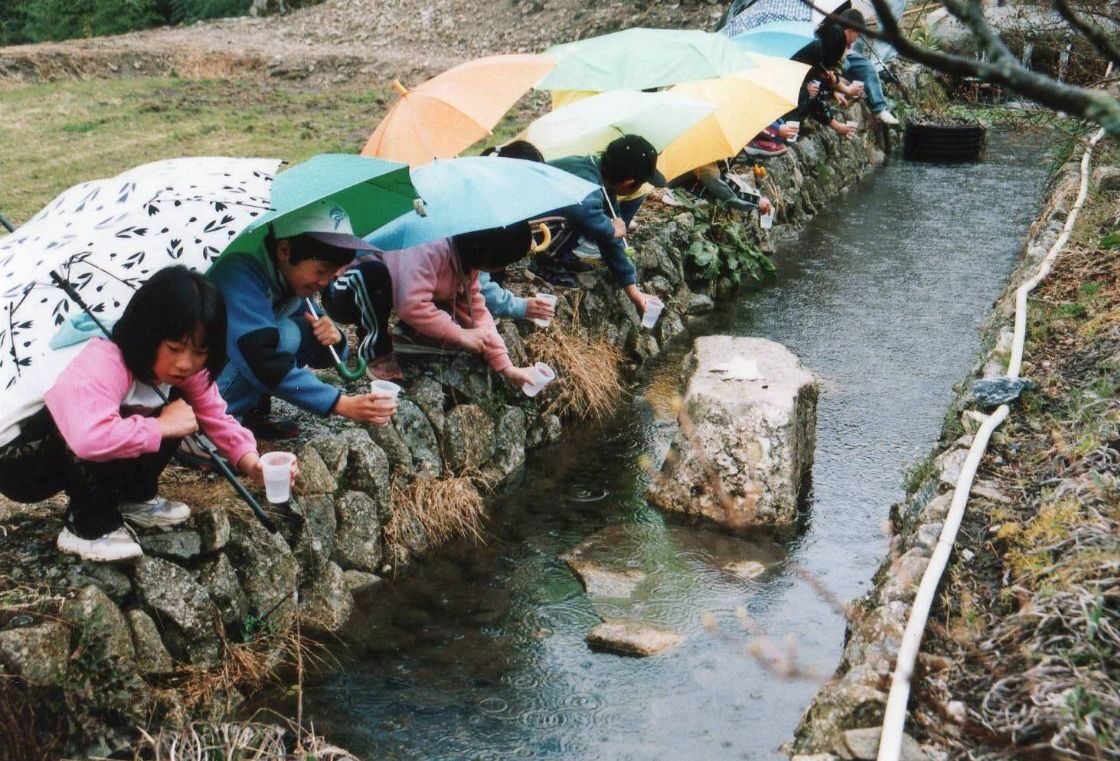 水田