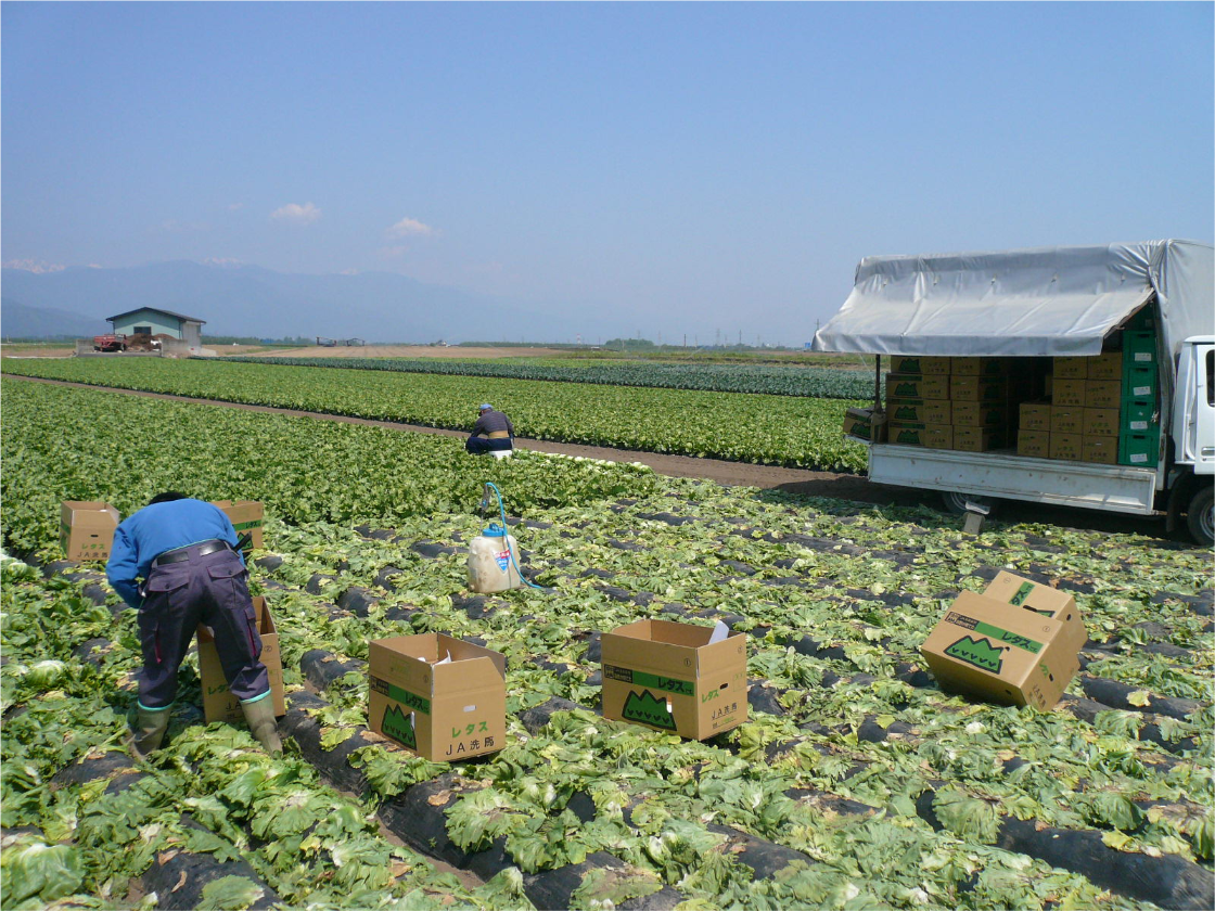 岩垂原